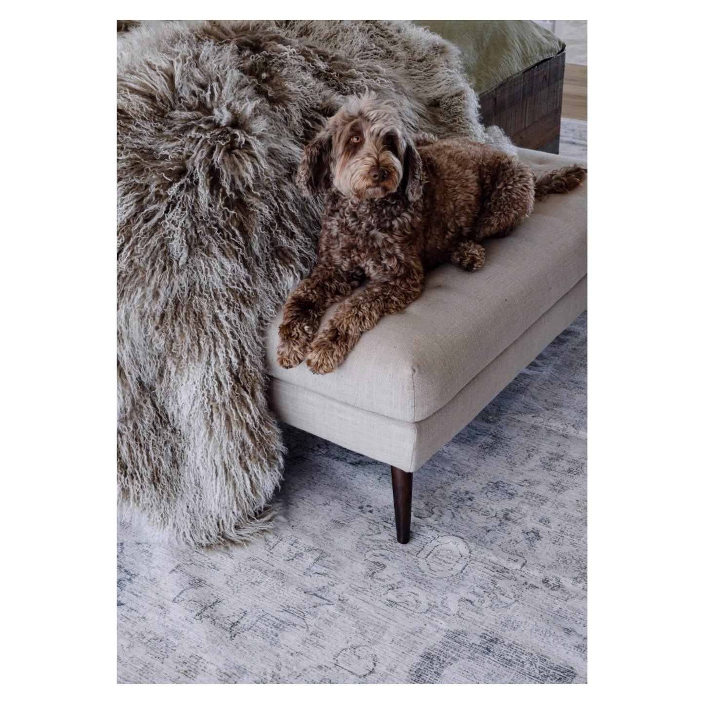 Enchanted Mist natural sage vintage distressed washable rug with boho motifs and non-slip backing