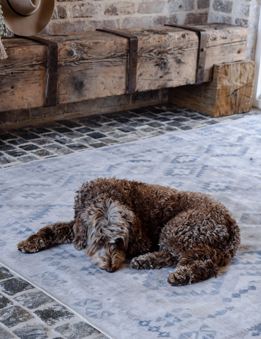 Nomad - Neutral Sand & Grey Moroccan Distressed Washable Rug
