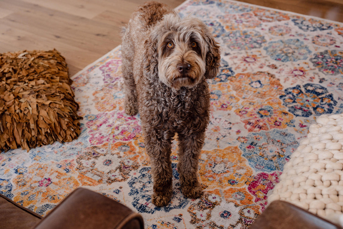 Advantages of washable rugs