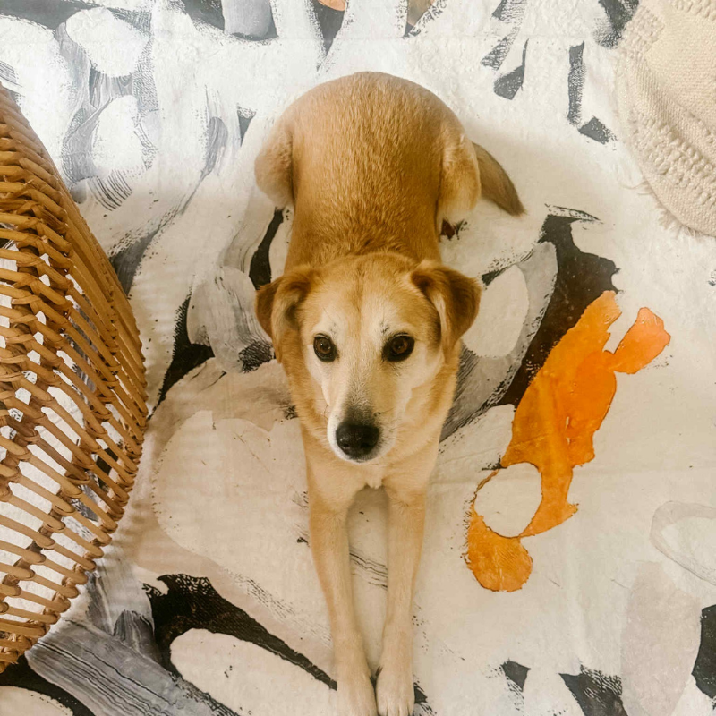 Murul - Dry Earth Neutral & Black